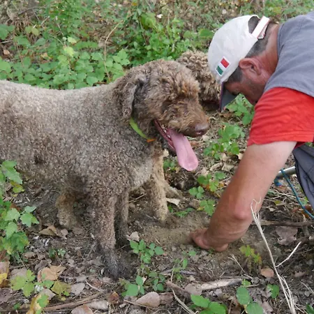 Agriturismo Il Torrino Alloggio per agriturismo *